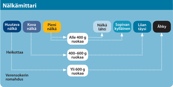 Nälkämittari kertoo ateriarytmin tasaamisen hyödyistä